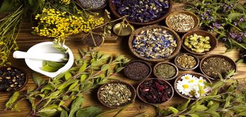 10 گیاه با خواص دارویی که هر شخص باید آن را در خانه خود داشته باشد