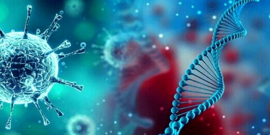 کرونای جدید XE و علائم آن را بشناسید
