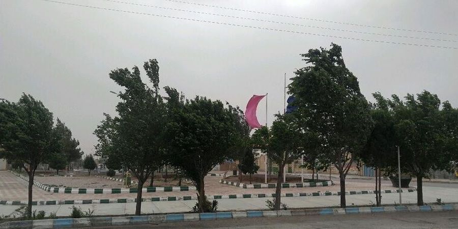 طوفان پرسرعتی که این استان را درنوردید/محصولات کشاورزی در خطر سرمازدگی