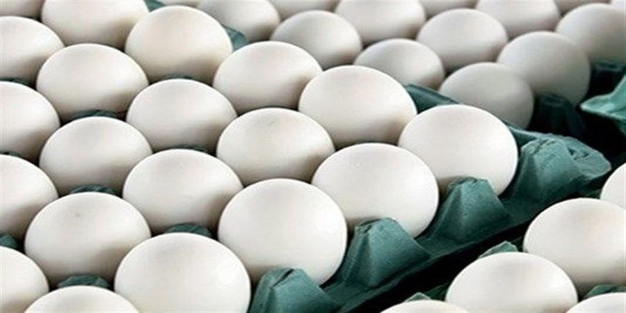توصیه ای آشنا از یک مقام مسئول؛ برای خرید تخم مرغ به قیمت مصوب به تهرانپارس بروید!