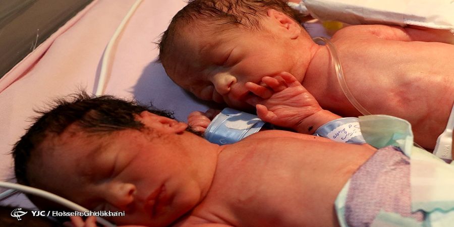 میزان بودجه اجرای قانون حمایت از خانواده و جوانی جمعیت مشخص شد